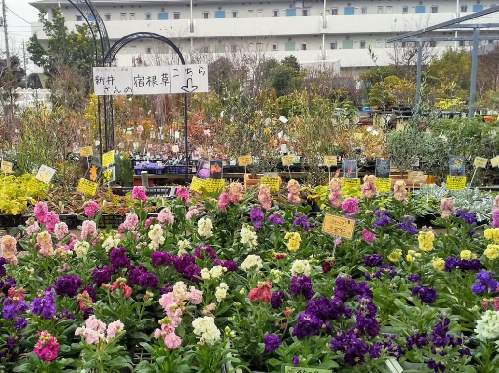 所沢園芸センター