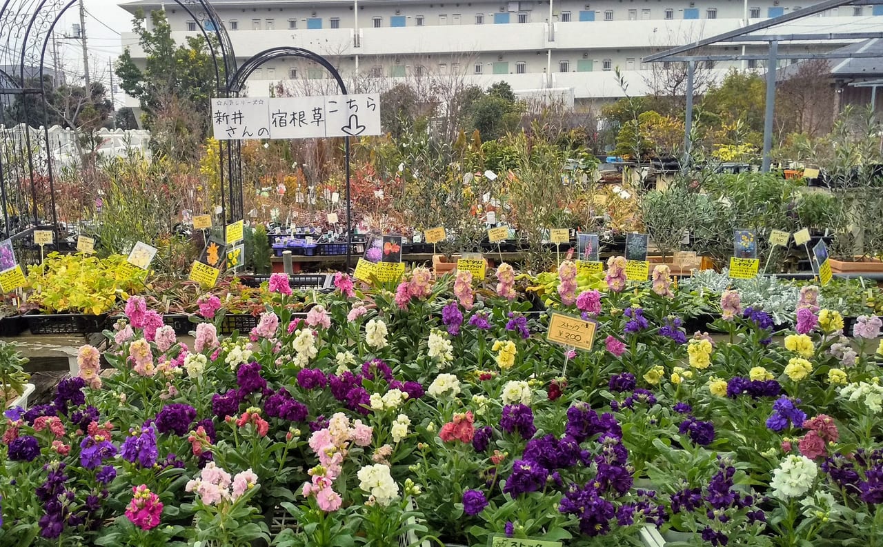 所沢市 ガーデニングしてみようかなって気にさせられる所沢園芸センター 植物の数と美しさは圧巻です 号外net 所沢市
