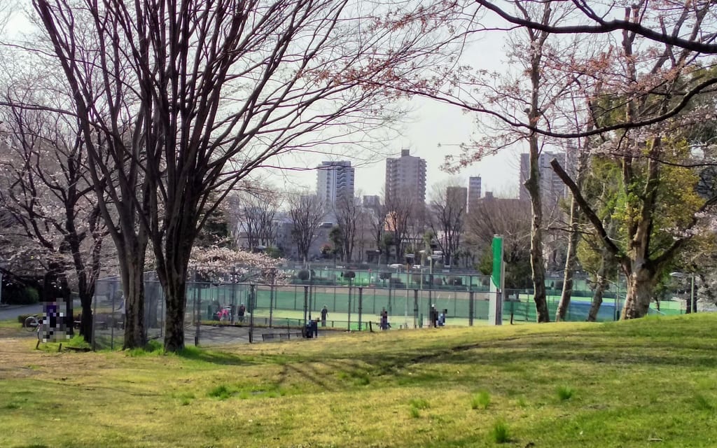 所沢航空記念公園テニスコート