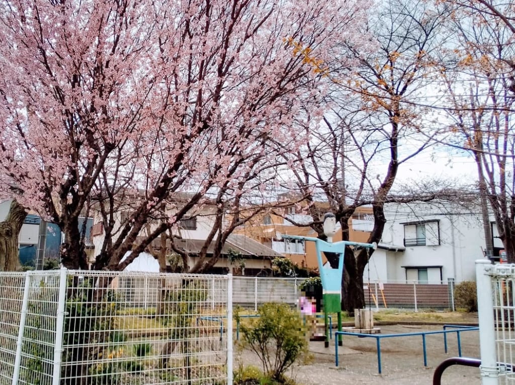 中砂公園