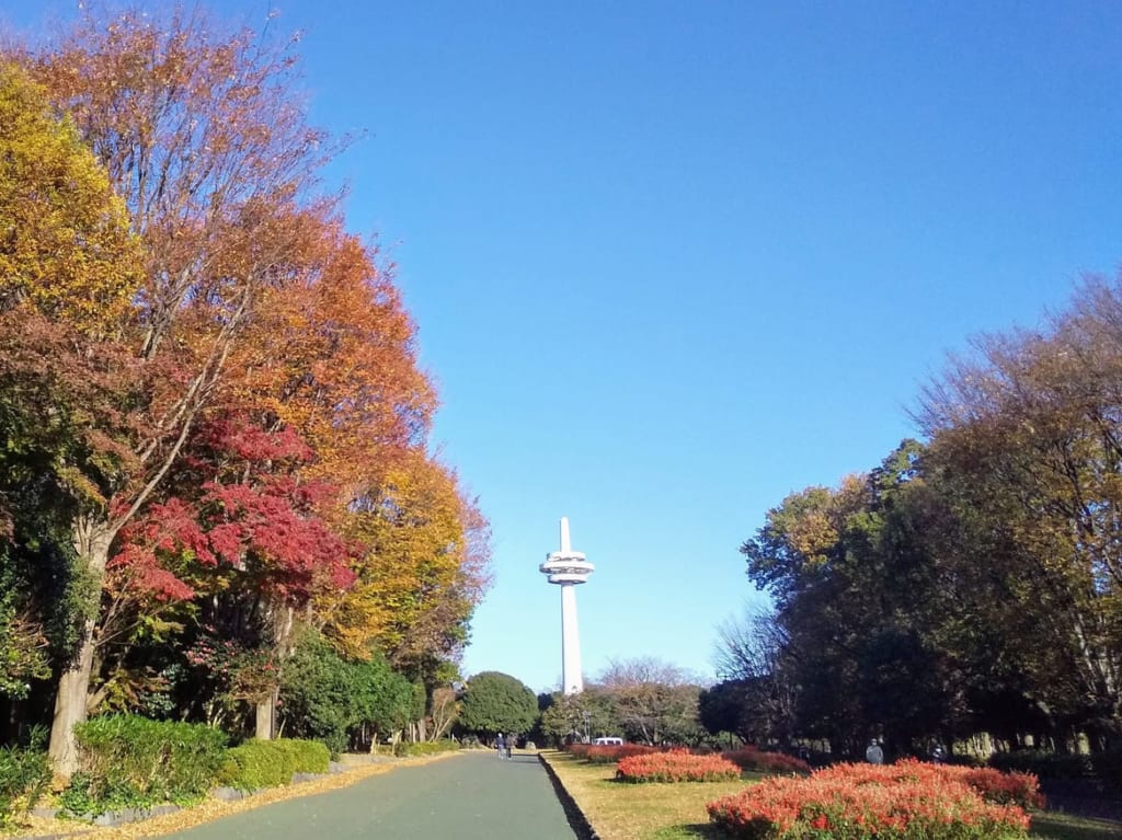 所沢航空記念公園