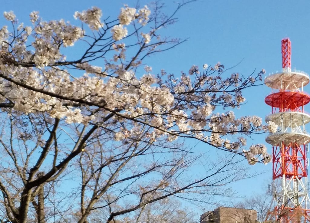 航空記念公園