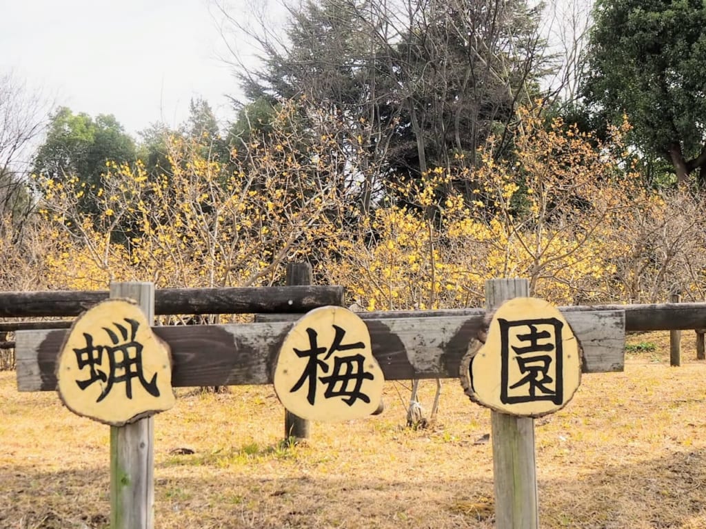 蠟梅園