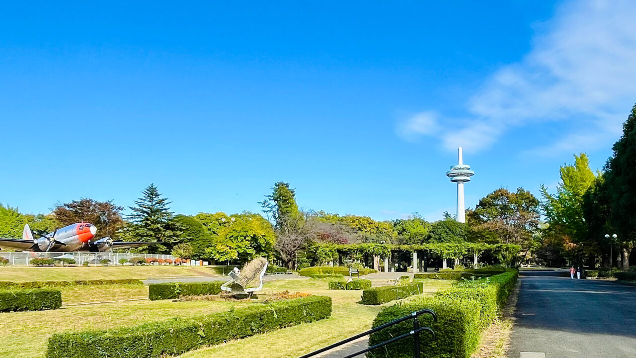 所沢航空記念公園のシンボル放送塔と飛行機