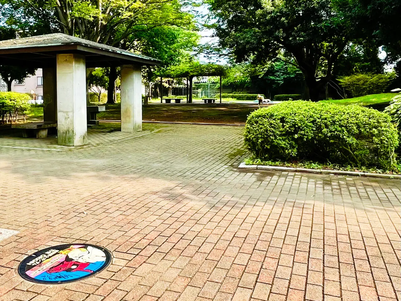 東所沢公園の市政70周年記念「機動戦士ガンダム THE ORIGIN マンホール」シャア
柄