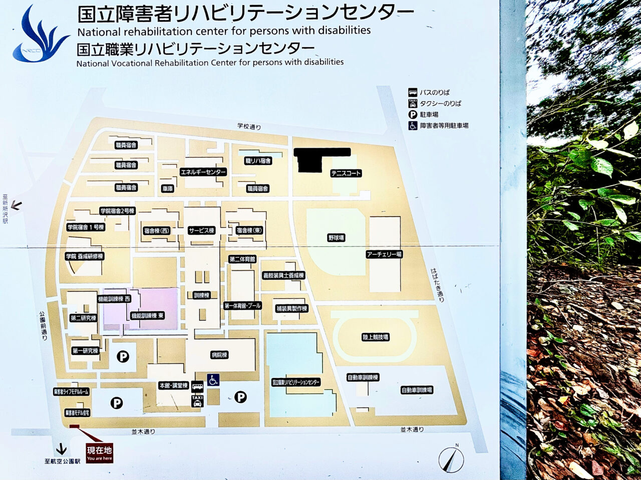 国立障害者リハビリテーションセンターMap