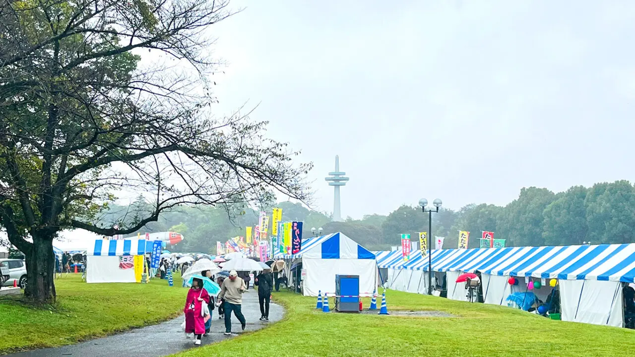 第46回所沢市民フェスティバルの様子
