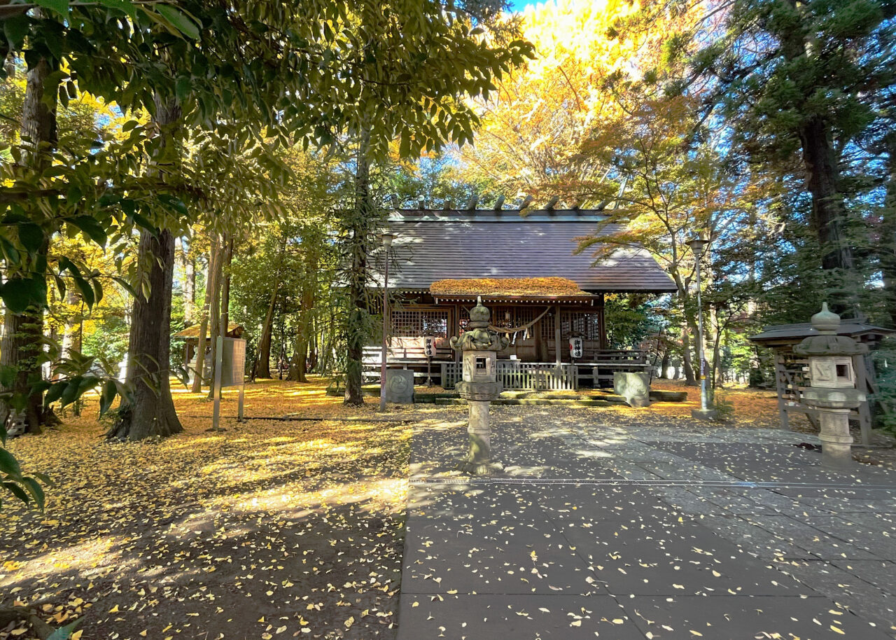 2025年11月26日の神明社(中富)と銀杏