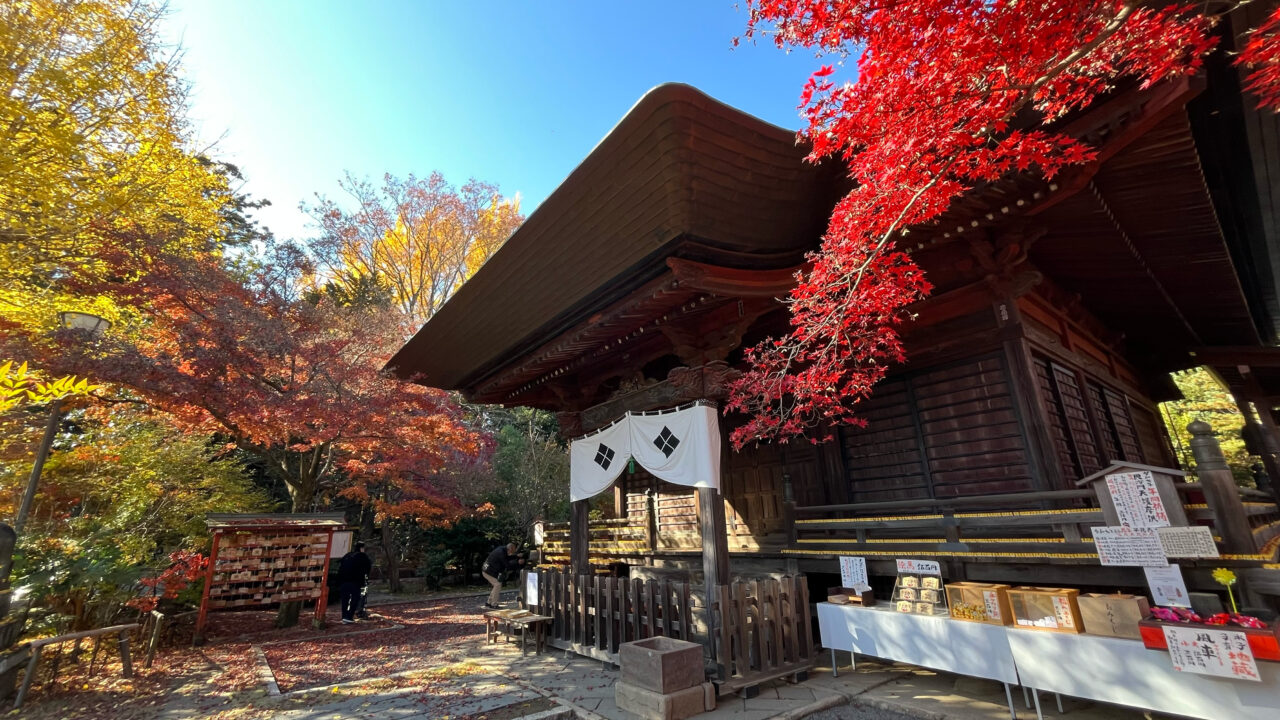 2025年11月26日の多聞院の紅葉