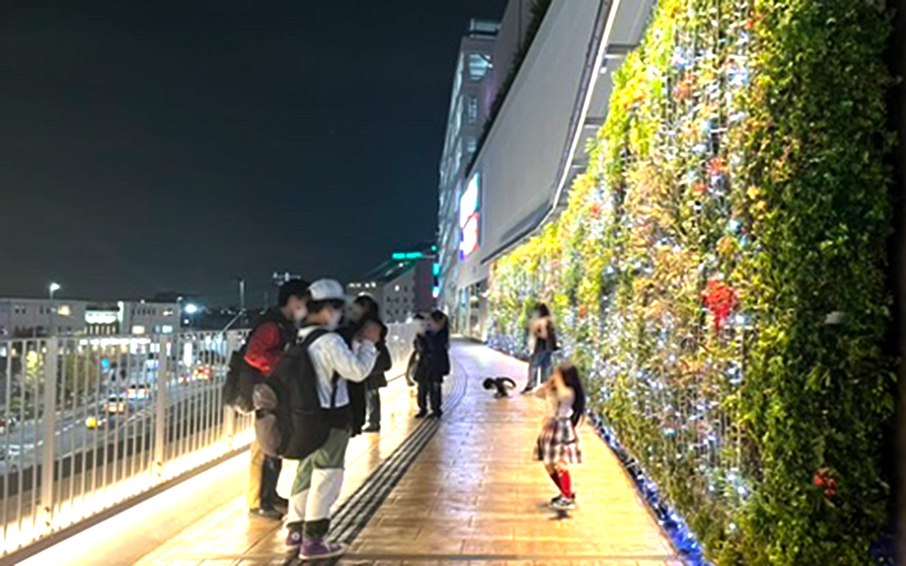 エミテラス２階エントランス脇の壁面緑化イルミネーション前で写真を撮る人たち