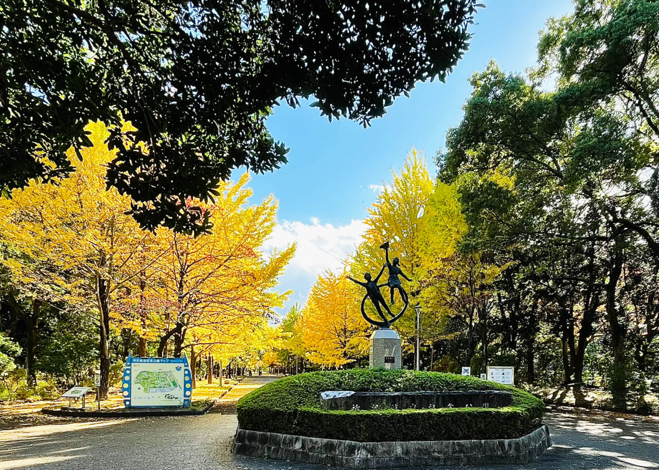 航空記念公園の銀杏並木並木