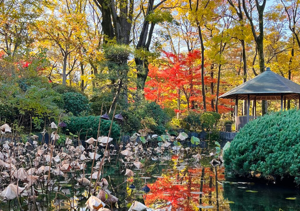 彩翔亭の紅葉