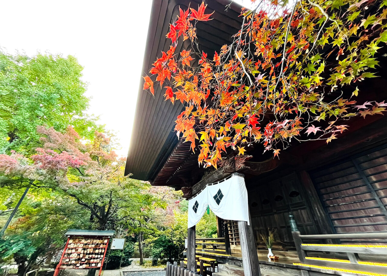 色付きはじめの多聞院の境内