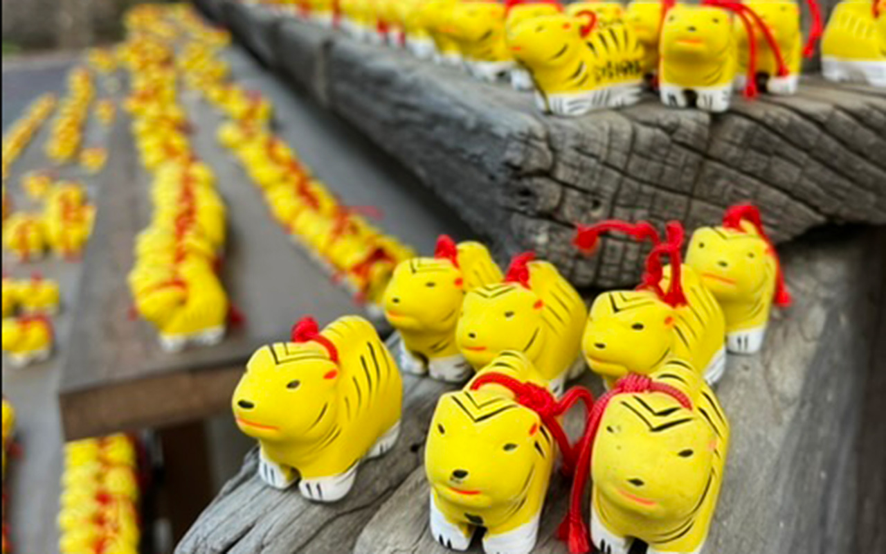 多聞院に奉納されたたくさんの「身がわり寅」