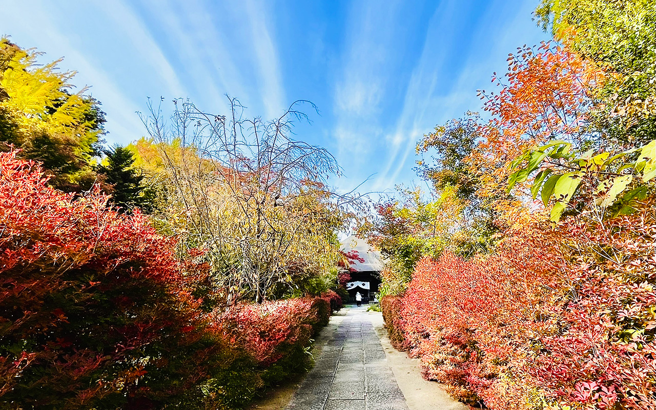 色付きはじめの多聞院の境内
