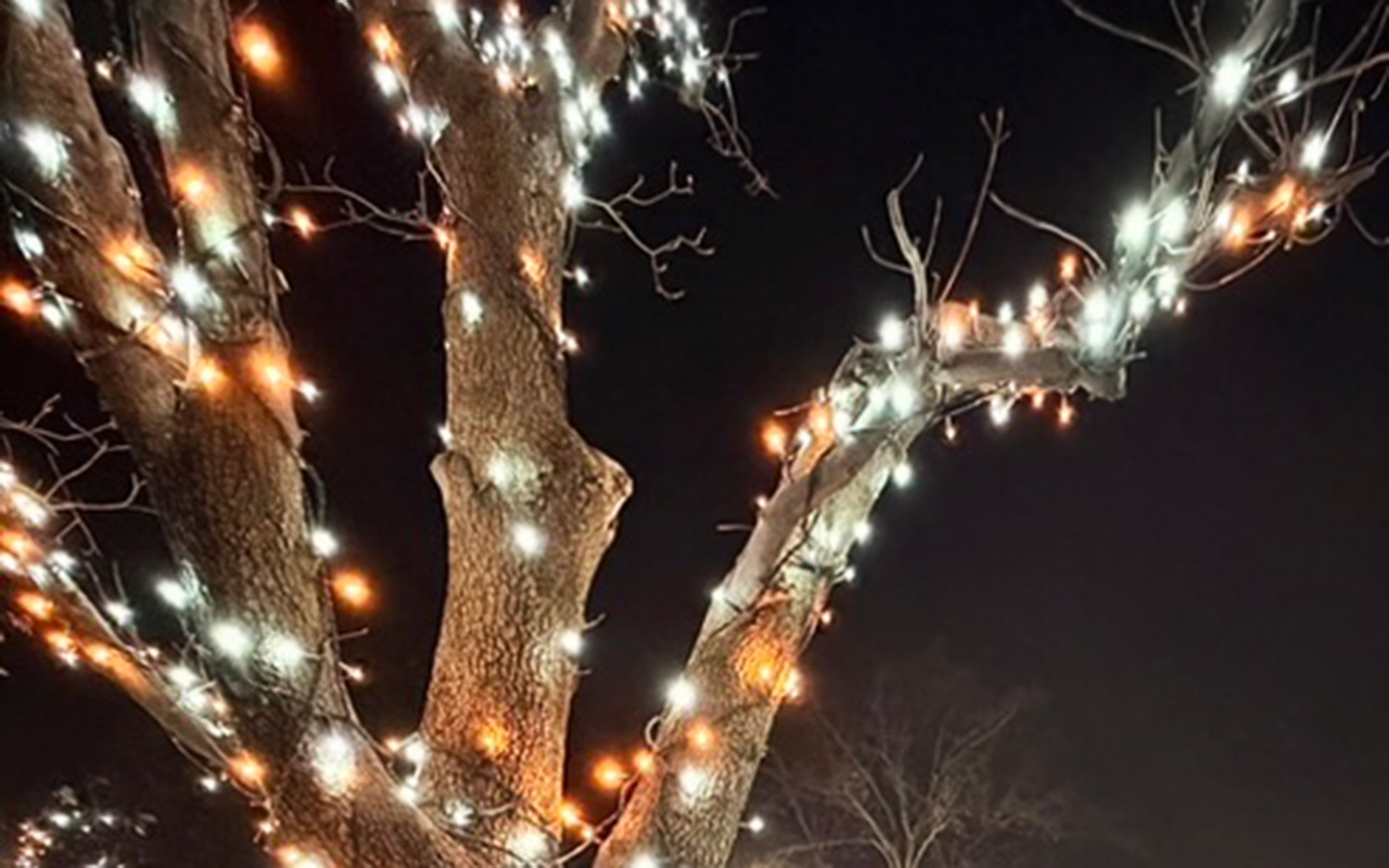 「東所沢商店組合」による東所沢駅前のイルミネーションのズーム