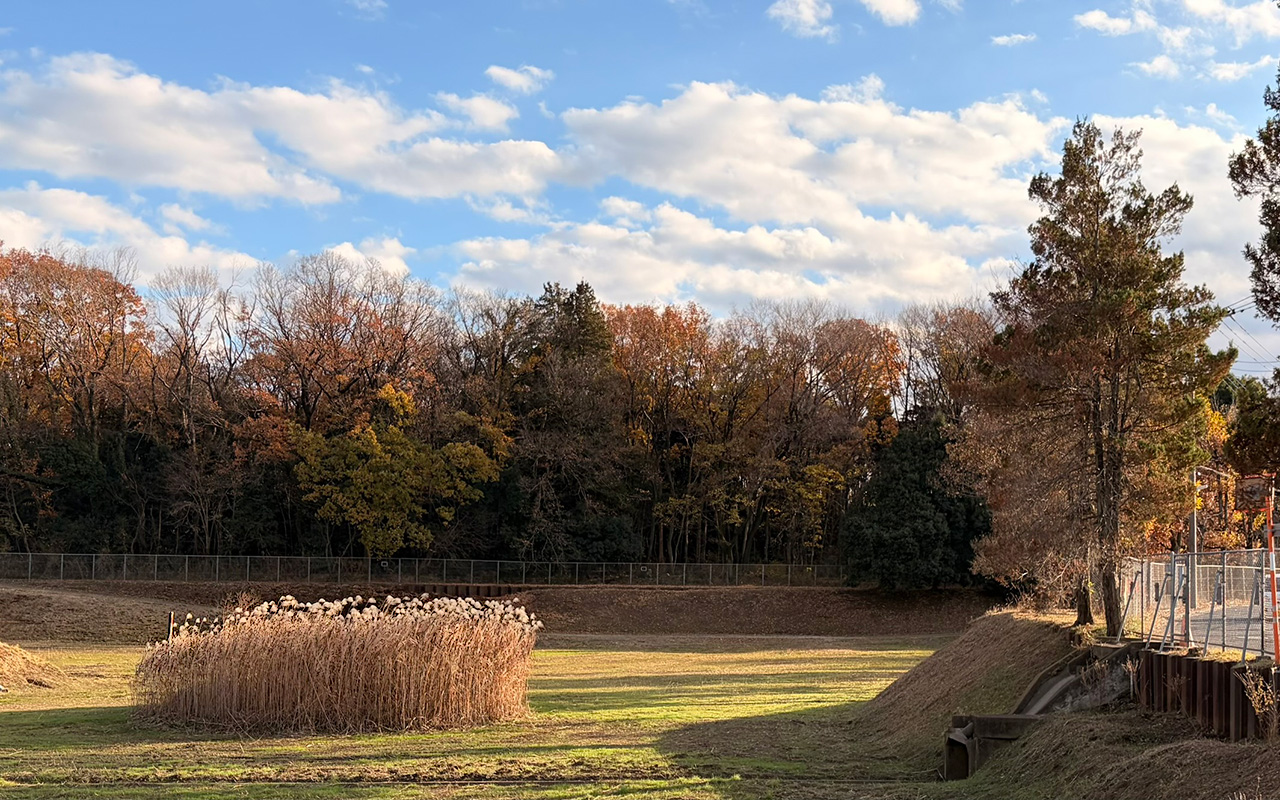 小手指の「砂川堀北野調整池」
