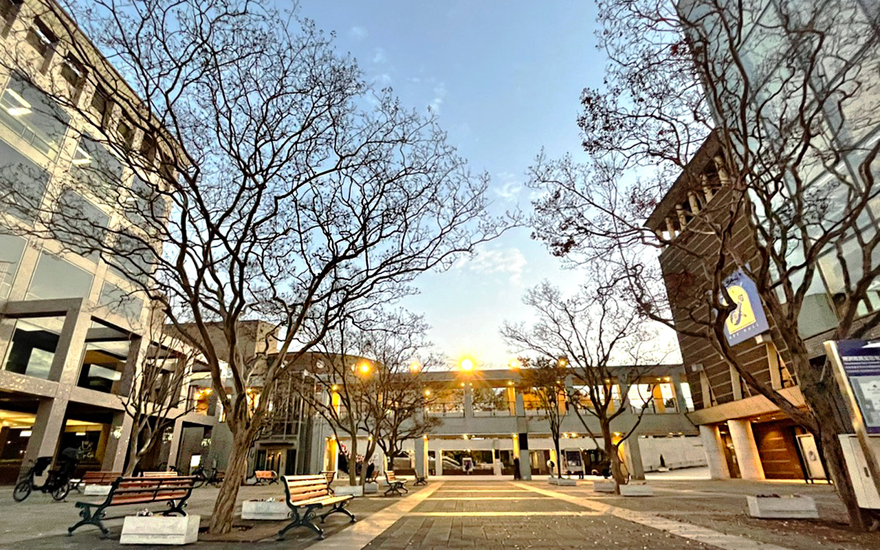 所沢市民文化センターミューズの夕景