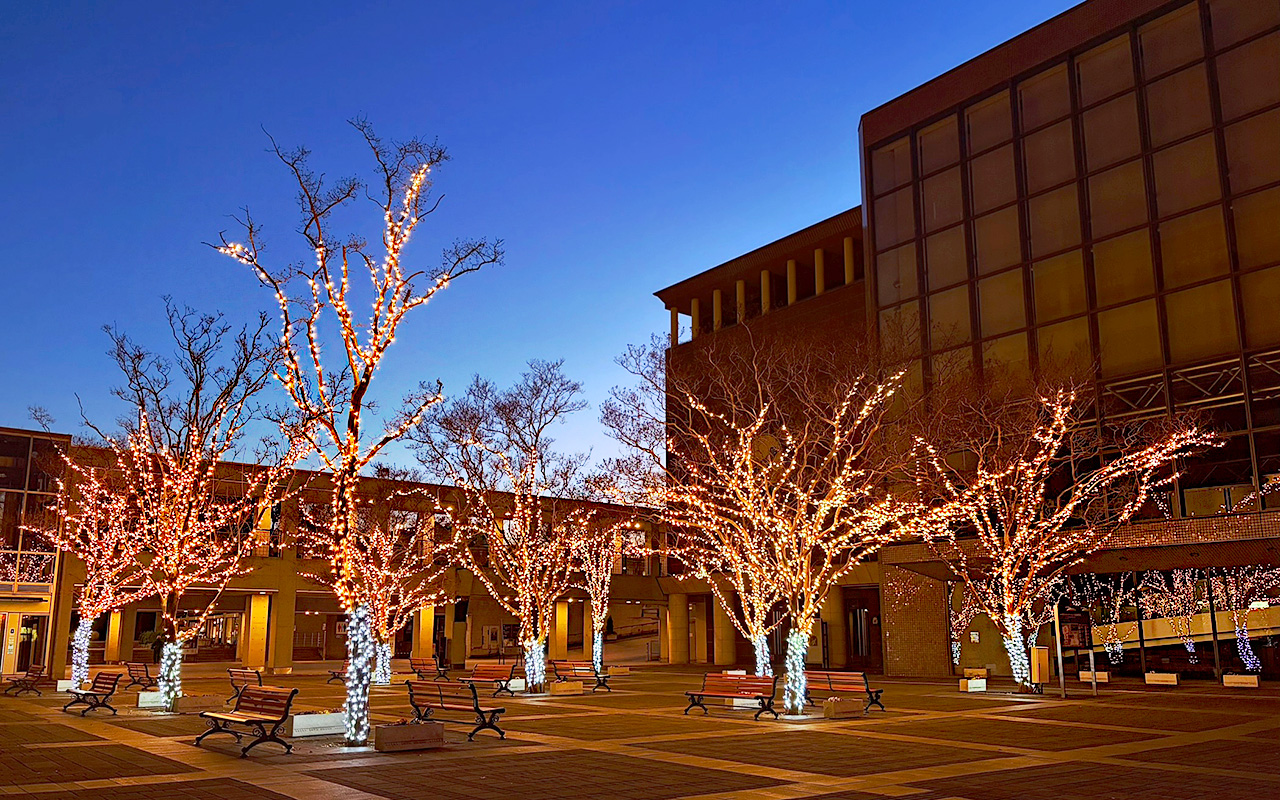 所沢市民文化センターミューズのイルミネーション