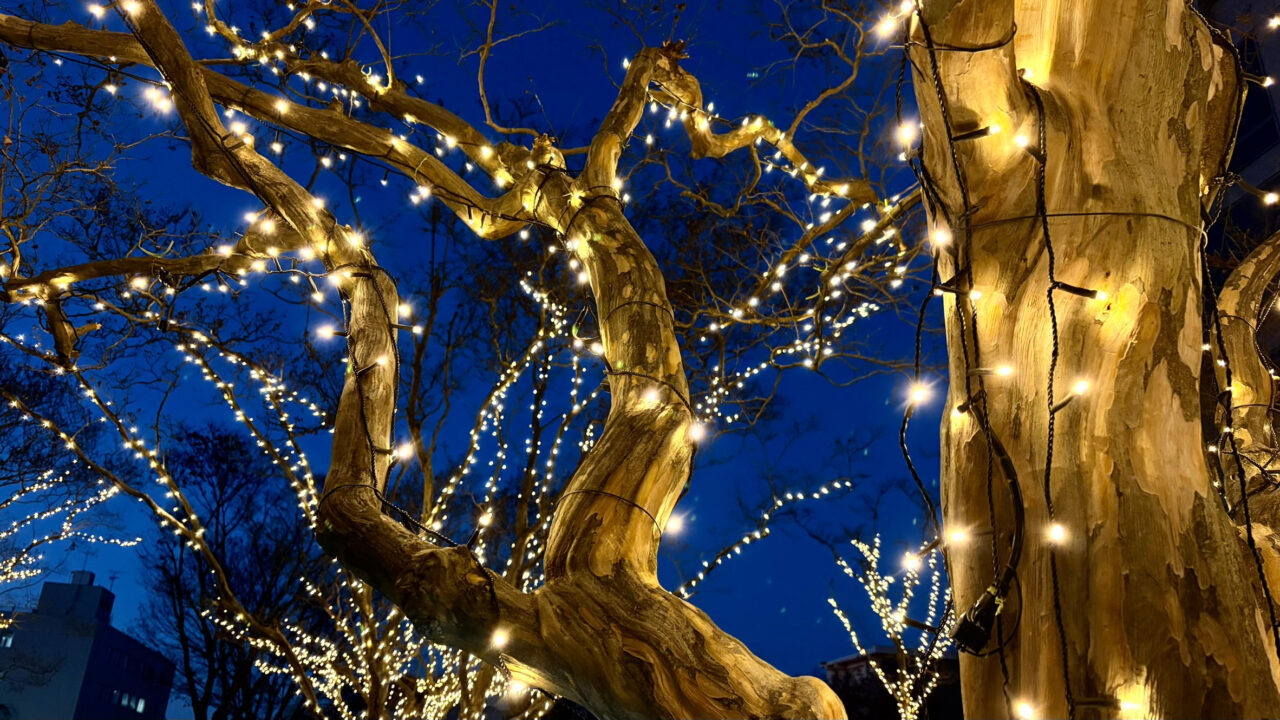 所沢市民文化センターミューズのイルミネーション