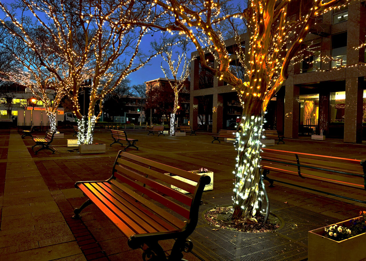 所沢市民文化センターミューズのイルミネーション