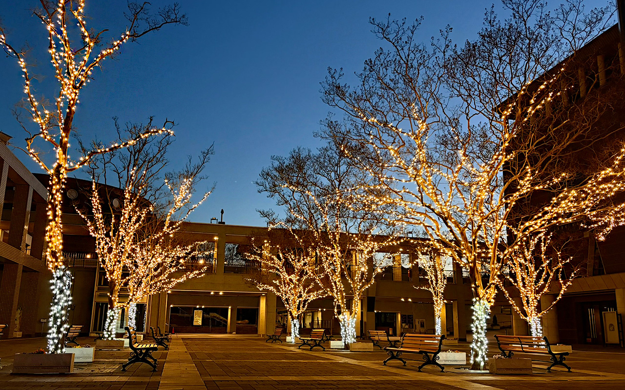 所沢市民文化センターミューズのイルミネーション
