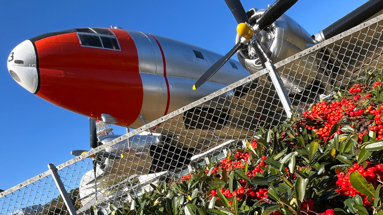 C-46とピラカンサ