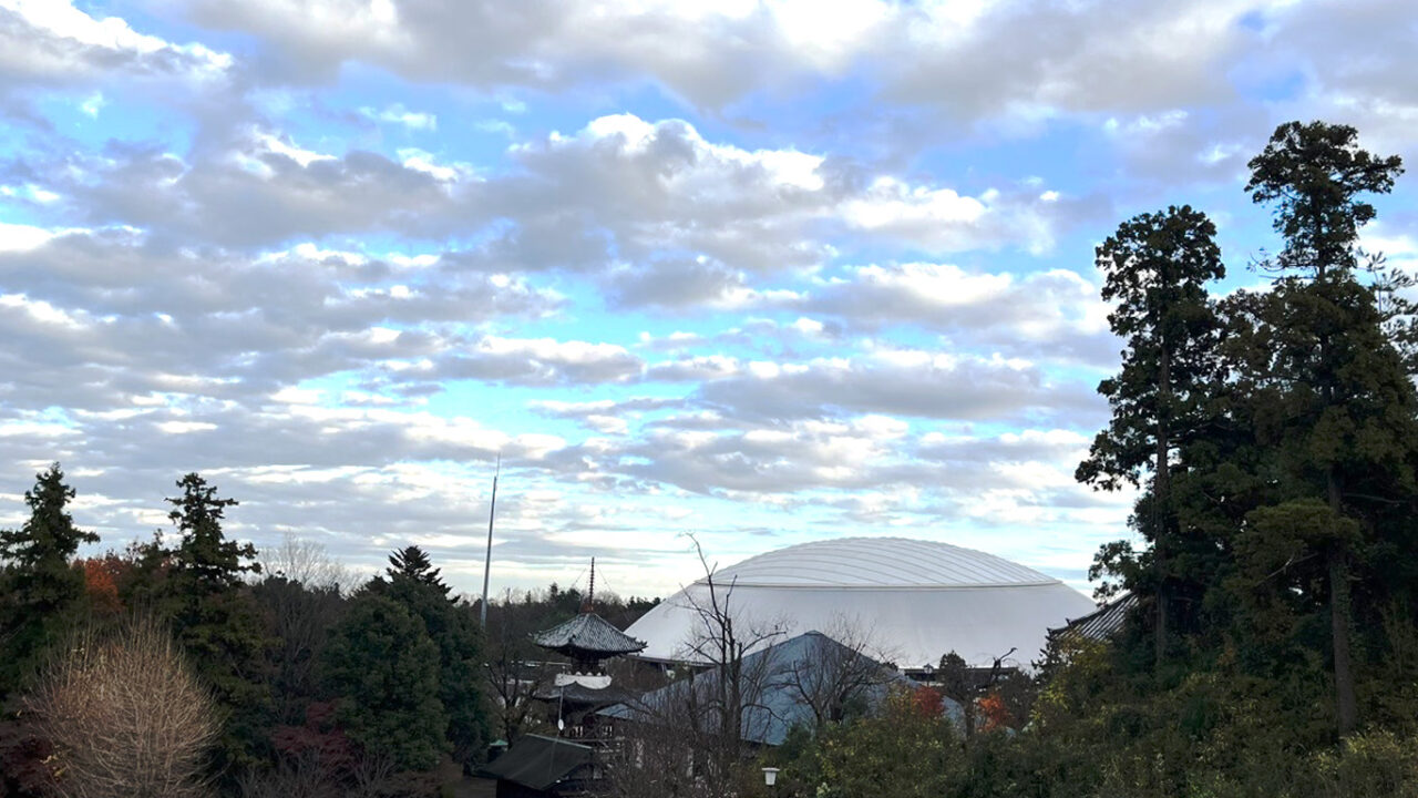 狭山山不動寺(通称：狭山不動尊)からベルーナドームを臨む
