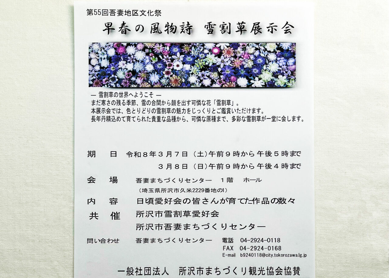 雪割草展示会チラシ