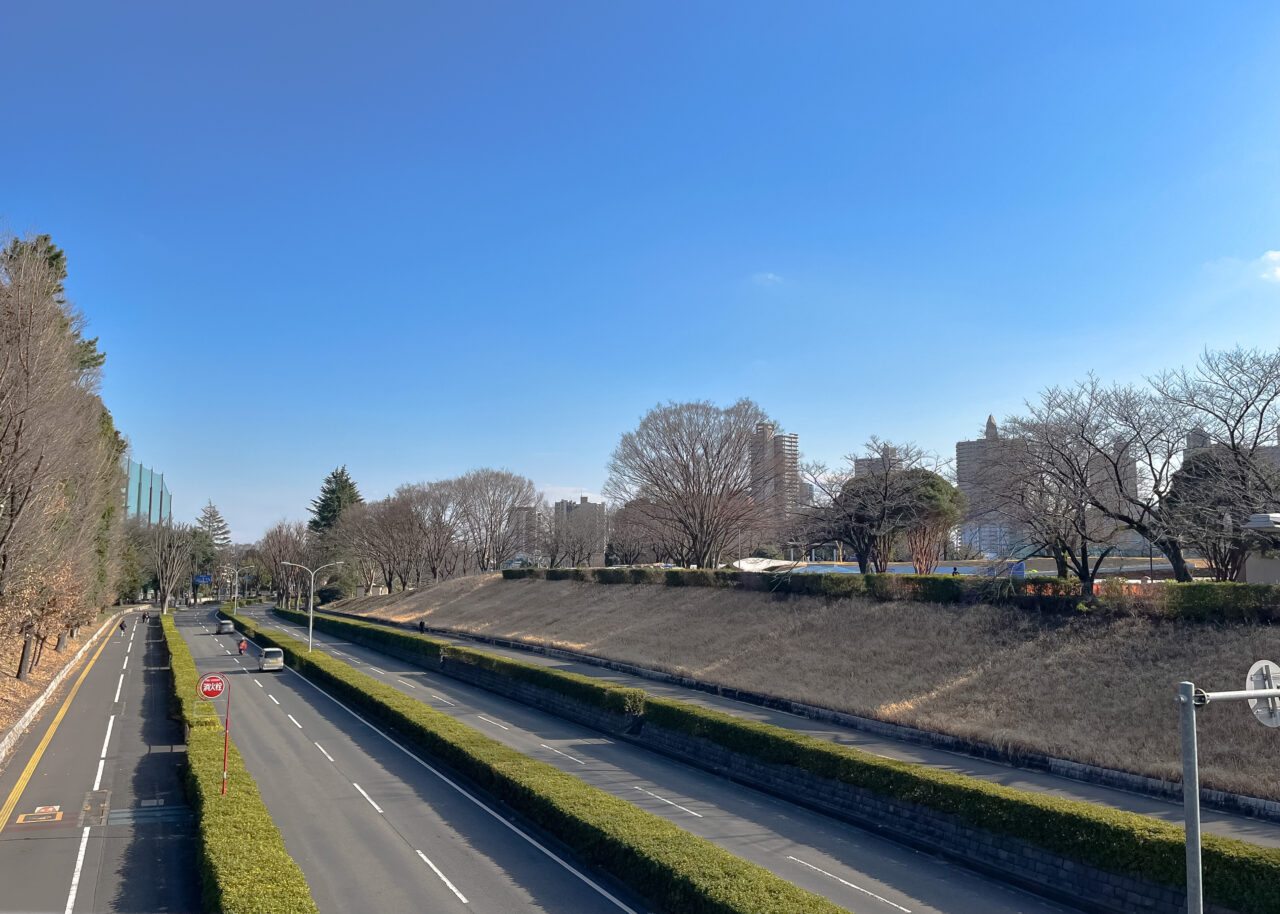 所沢航空記念公園連絡橋から見た《スケートボードパーク》