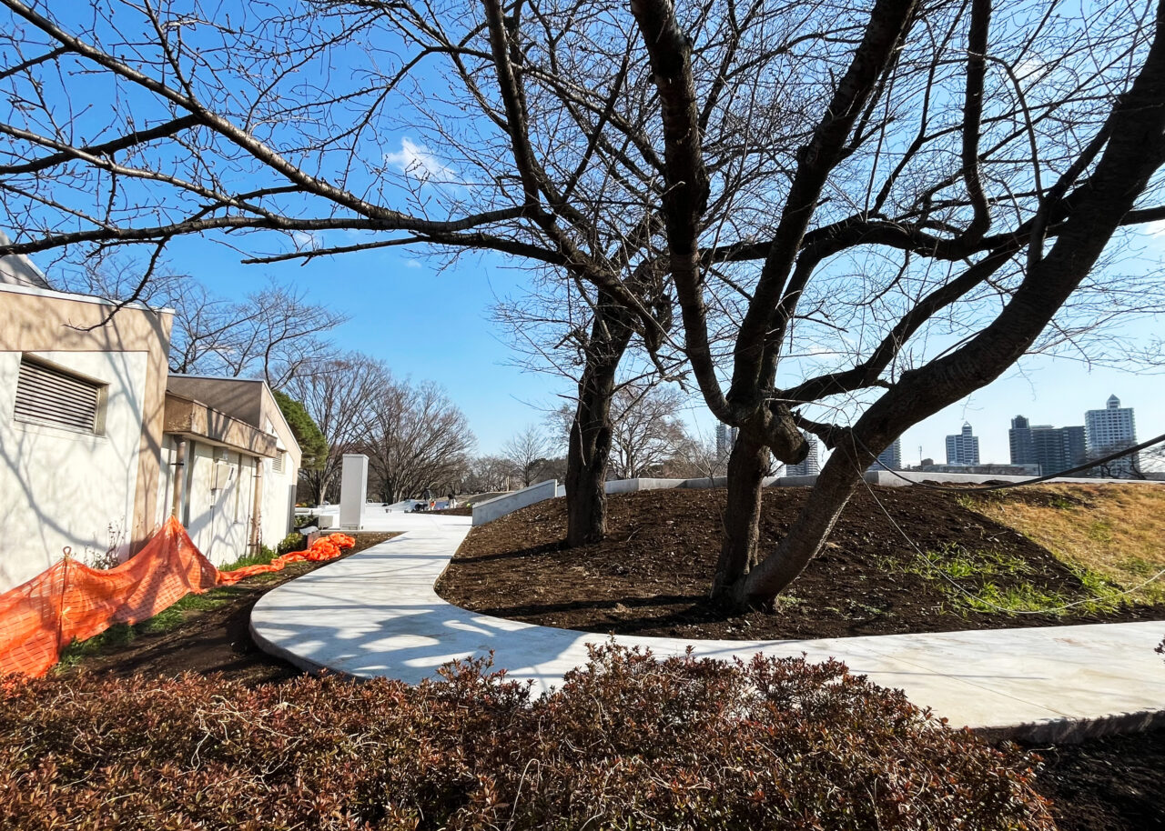 所沢航空記念公園《スケートボードパーク》