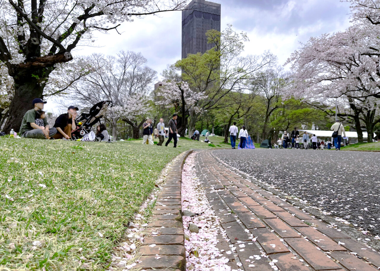 所沢航空記念公園