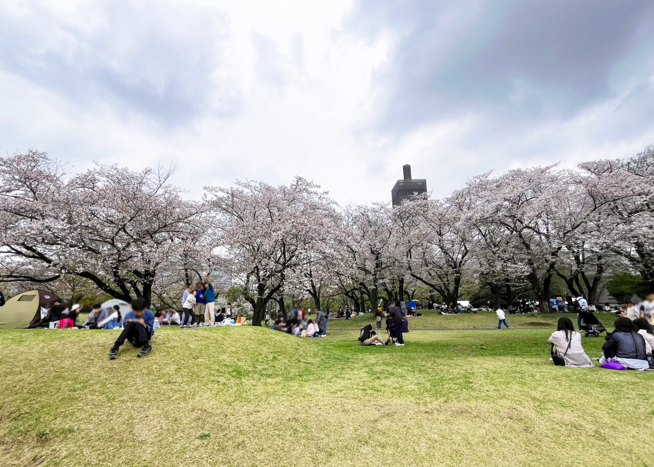 所沢航空記念公園