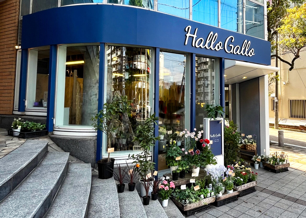 Hallo Gallo 所沢店
