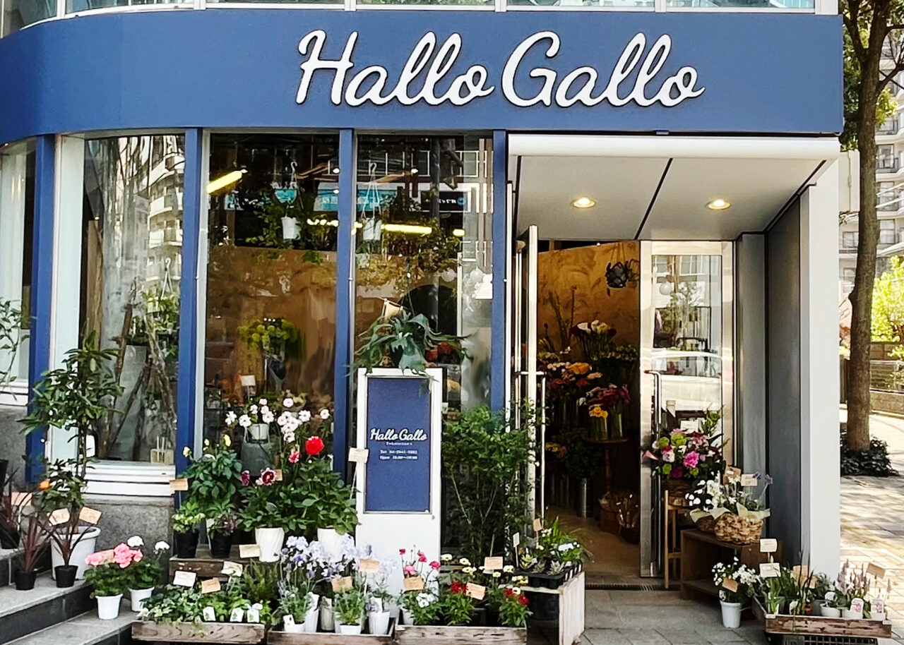 Hallo Gallo 所沢店
