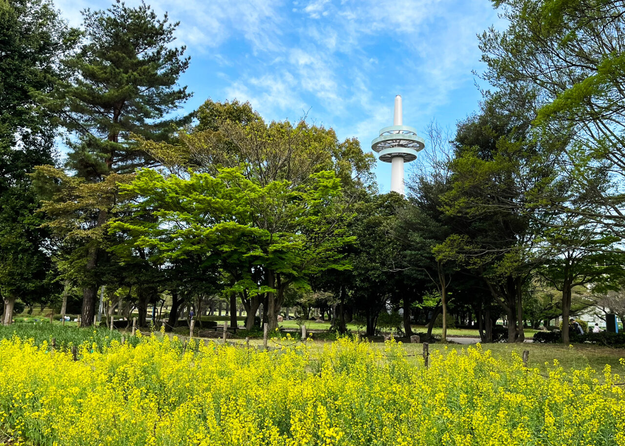 所沢航空記念公園花の丘