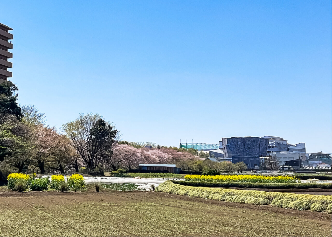 日比田調節池管理橋から見た角川武蔵野ミュージアム