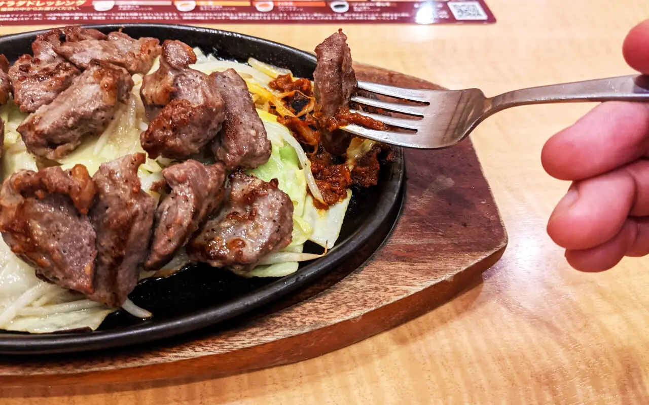 《ステーキのどん》の新メニュー「ワイルドポークマウンテン」