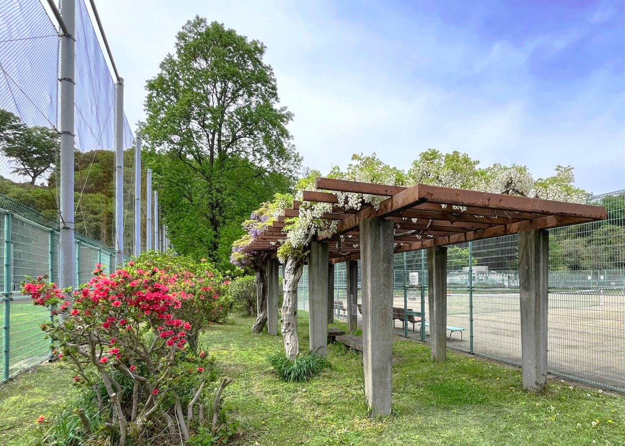 「滝の城跡公園」