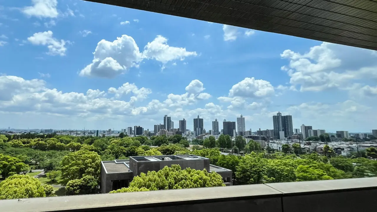 所沢市役所から見た所沢市街地