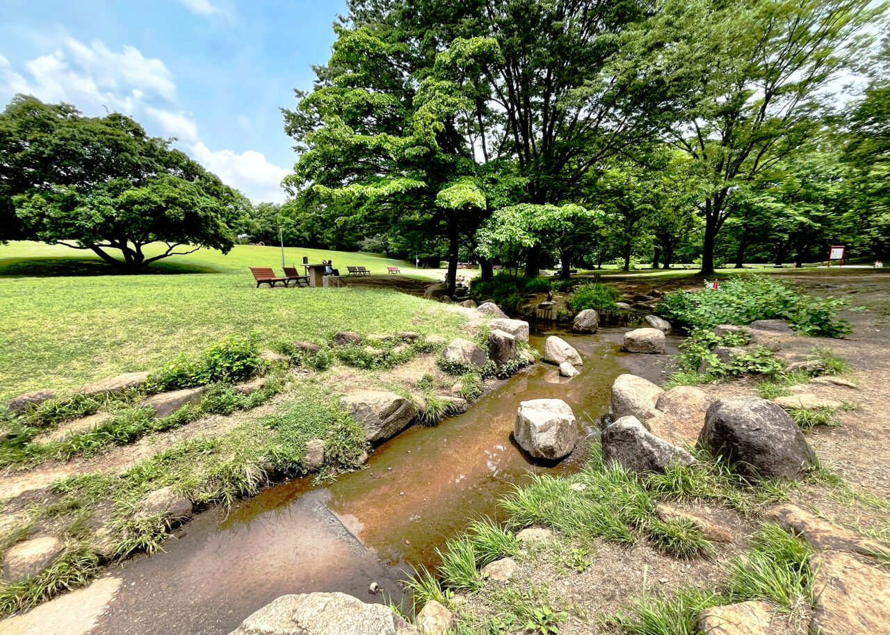所沢航空記念公園の《むさしの川》