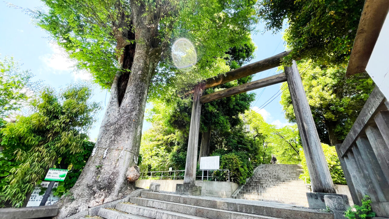 所澤神明社