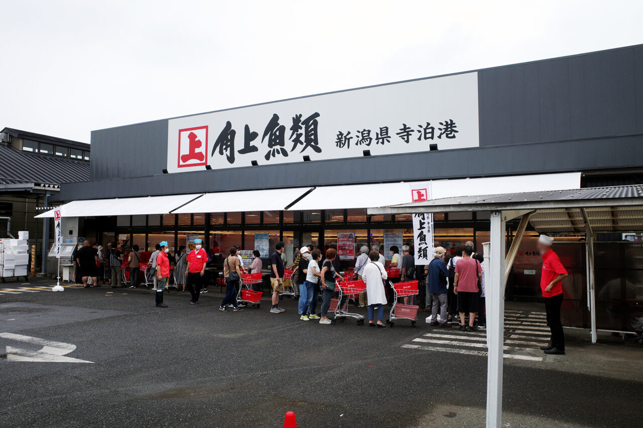 角上魚類