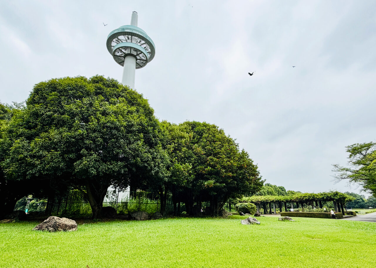所沢航空記念公園