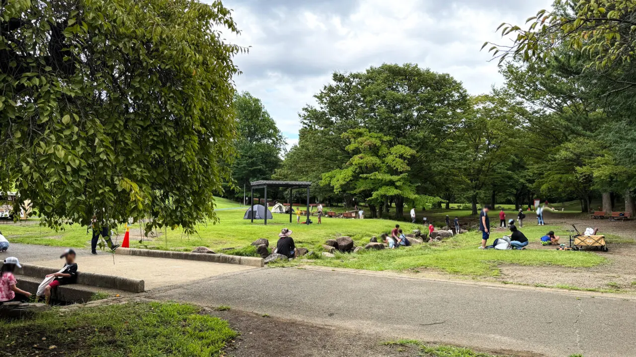 航空記念公園の「むさしの川」