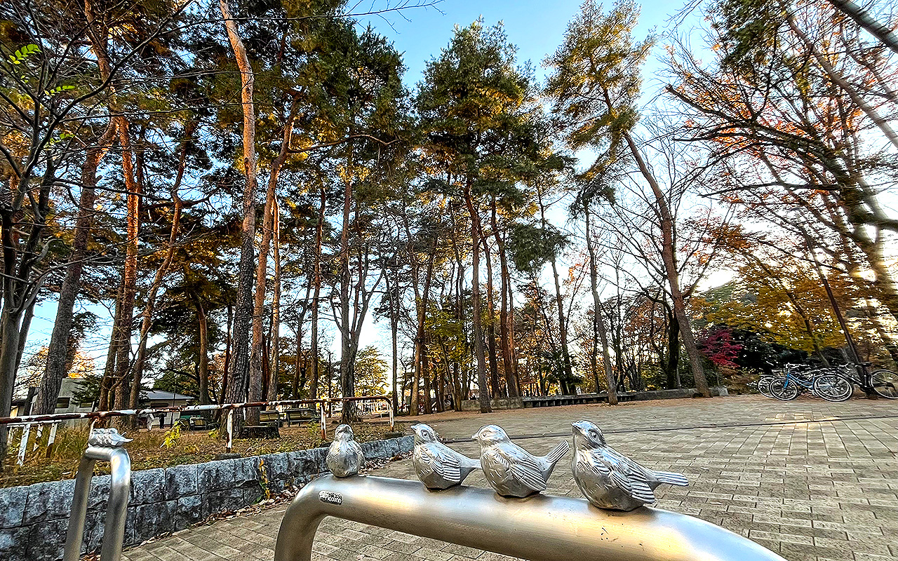 緑町中央公園