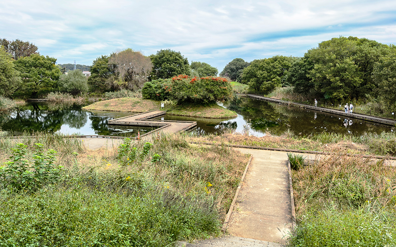 清瀬金山緑地公園